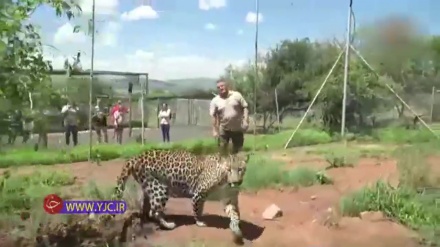 (VIDEO) Favolosa amicizia tra uomo e animali selvaggi