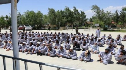 انتقاد حزب اسلامی افغانستان از دولت اشرف غنی در روند کاهشی آزادی زندانیان 