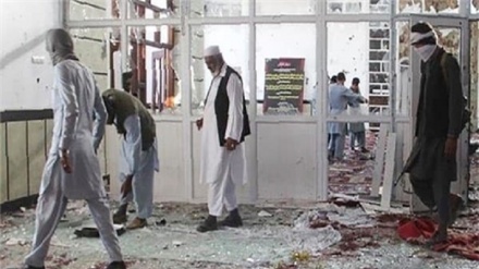 مردم افغانستان قربانی ۳۶ درصد حملات تروریستی در سال ۲۰۱۹