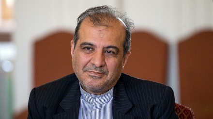 哈吉：凯撒法案的目的是保障美国对叙利亚的非法措施