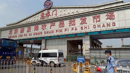 北京疑病毒来自欧洲