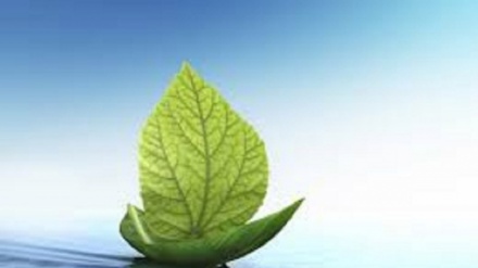 नया सवेरा- 1