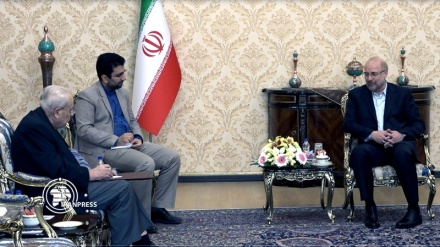 卡利巴夫：犹太复国主义政权面临内部崩溃的危机