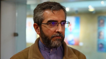  کشورهای اروپایی؛ پناهگاه متجاوزان به حقوق ملت ایران