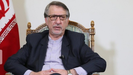 イラン外務次官、「自らの運命決定に向けたパレスチナ人の唯一の選択肢は抵抗」