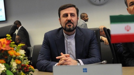 伊朗就削弱伊朗与国际原子能机构的合作发出警告