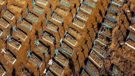 Brasil supera 50 mil fallecido por coronavirus
