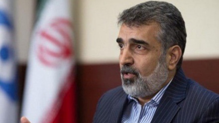 イラン原子力エネルギー庁報道官、「IAEAの不確かな情報による判断は、危険な異端行為」