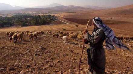 Hamas: Israels Plan, Teile der Westbank zu annektieren, läuft auf 