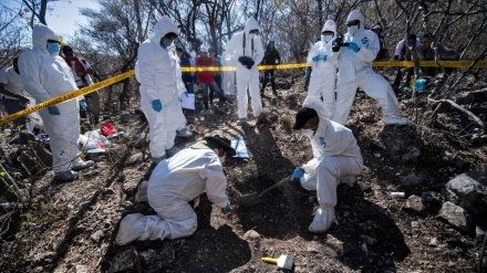 Hallan 215 cuerpos en fosas clandestinas en Guadalajara de México