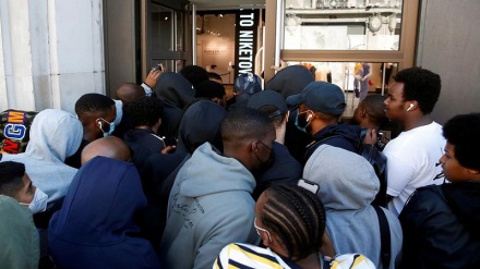 Куннинг энг қизиқарли фотосуратлари (фотожамланма)