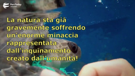 (VIDEO) Nuova minaccia per gli oceani: Covid-19