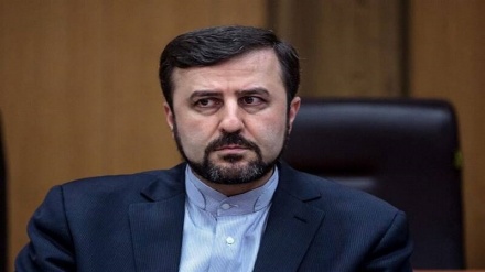  Iran seeking assurances US will not leave JCPOA again 