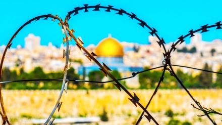 کراچۍ کښې د (فلسطین او د پاکستاني ځوانانو رول) غونډه جوړه شوه