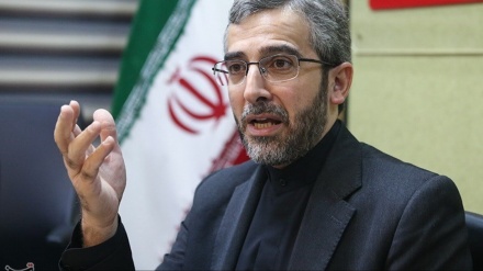 Bagheri Kani: Teherani po pret 41 delegacione diplomatike në takimin e ACD