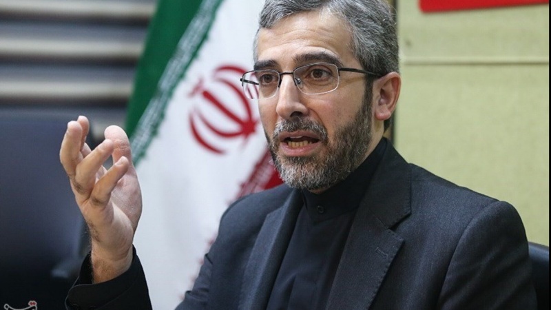 Ali Bagheri Kani, juru runding nuklir Iran