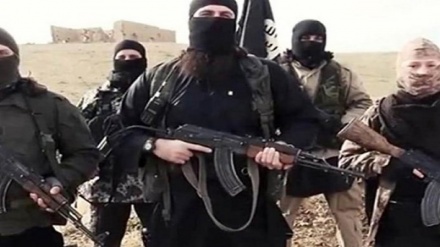 انهدام مواضع عناصر تروریستی داعش در «حماه» سوریه 