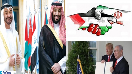 वीडियो रिपोर्टः आख़िर कुछ अरब देश क्यों सांप को दूध पिलाना चाहते हैं? इन अरब देशों को किस बात का है डर?