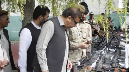 تحویل 515 قبضه سلاح سبک و سنگین به مقامات ولایت ننگرهار + عکس 