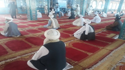 شفای مریضان و برقراری صلح در افغانستان ، خواسته علمای ولایت بلخ