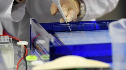 ロシアで、新型コロナのワクチン臨床実験が7月に完了