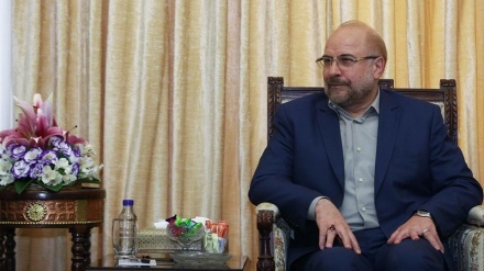 ইসরাইল ভেতর থেকেই ধসে পড়ার অবস্থায় রয়েছে: ইরানের সংসদ স্পিকার