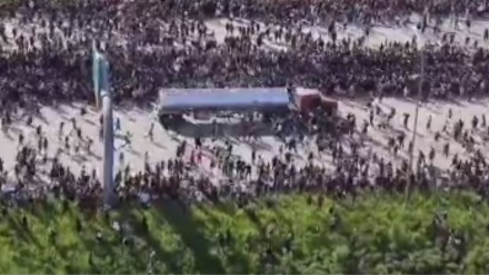 Amerikada bir sürüji nägile ilatyň üstüne sürdi