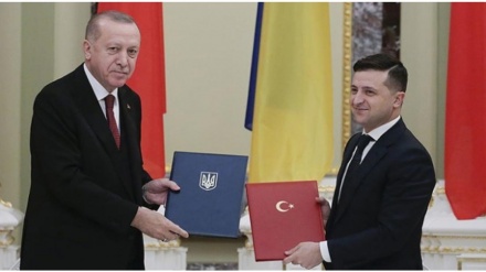 Erdoğan, Ukrayna Cumhurbaşkanı Zelenskiy ile telefonda görüştü