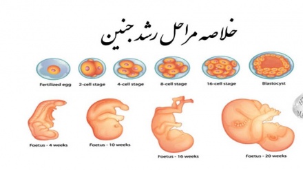 नया सवेरा- 4 