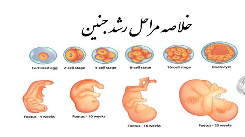 नया सवेरा- 4 