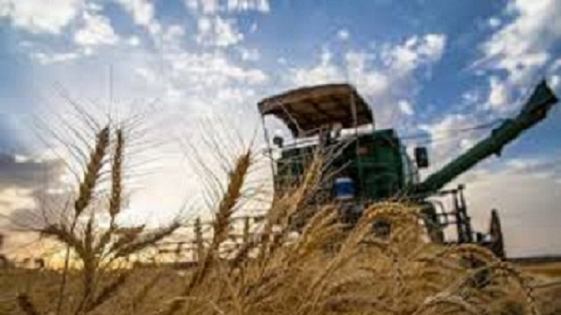 سهم 18درصدی آرد،گندم و فراورده های نفتی در واردات تاجیکستان 