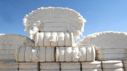 Содироти 33 ҳазор тонна нахи апахта аз Тоҷикистон