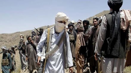 کشته شدن طالبان در حملات هوایی در بادغیس