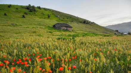 Stanet në vendet malore të provincës Gilan