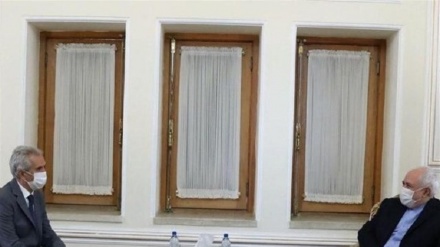 Zarif da adiós a embajador español en Irán