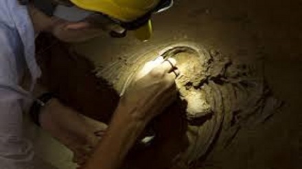 Study says DNA linked to COVID-19 was inherited from Neanderthals 