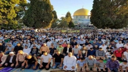 فراخوان برای حضور مردم فلسطین در مسجد الاقصی به مناسبت روز عرفه