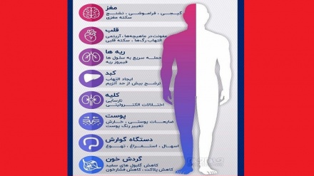 Корона бо аҷзои мухталифи бадан чи мекунад? (Тасвирбаён)