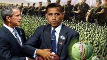 Россия Афғонистондаги гиёҳванд моддалар айланишида АҚШнинг ролига урғу берди