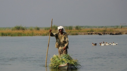 ईरान में अन्तर्राष्ट्रीय तालाब, शादगान