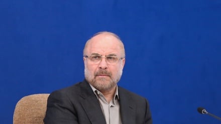 イラン国会議長、「議会の法案作成の基軸は圧政的な制裁の阻止」