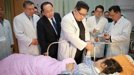 朝鲜发现冠病毒