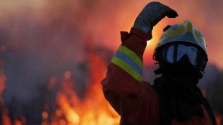 Portogallo, rogo in foresta: morti