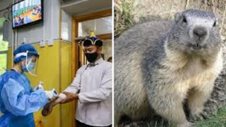 Paura in Mongolia, nuovi casi di peste nera e scatta quarantena
