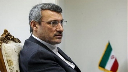 بعیدی‌نژاد: نشست شورای امنیت حمایت بدون قیدوشرط از برجام را ثابت کرد