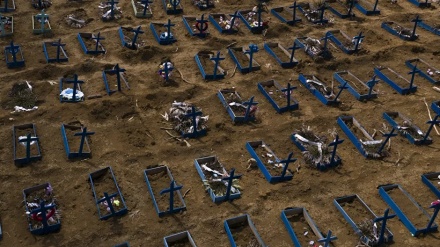 ブラジルの新型コロナ感染者が250万人突破、死者9万人超