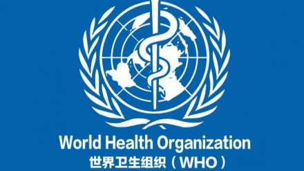 世卫组织：全球新冠肺炎确诊病例超过1130万例 53.2万多人因病死亡