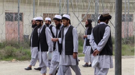 بیش از  ۲ هزار نفر از اعضای طالبان از این گروه اخراج شدند
