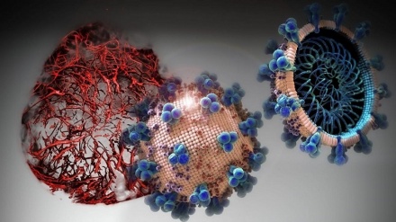 شناسایی نوع جهش یافته جدید ویروس کرونا در فرانسه