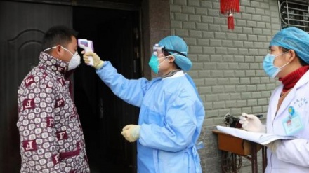Peste nera in Mongolia, l'Oms 'può uccidere in 24 ore'